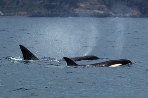 © Oliver Smart © Oliver Smart